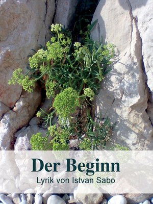 cover image of Der Beginn